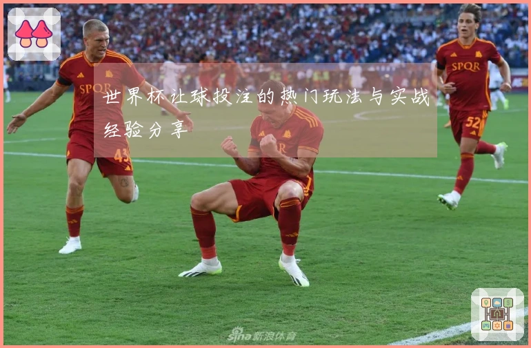 世界杯让球投注的热门玩法与实战经验分享