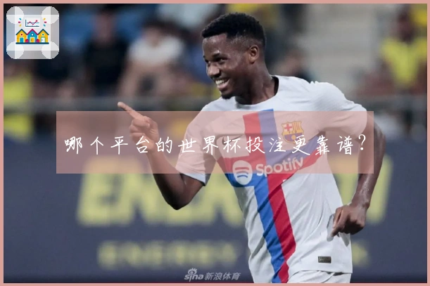 哪个平台的世界杯投注更靠谱？
