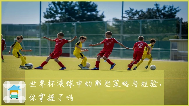 世界杯滚球中的那些策略与经验，你掌握了吗