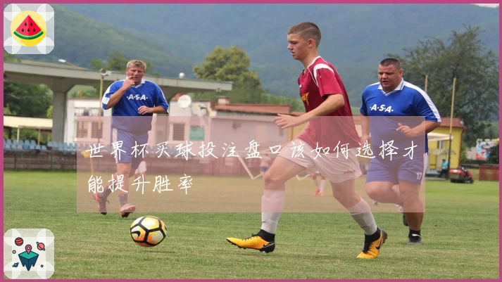 世界杯买球投注盘口该如何选择才能提升胜率
