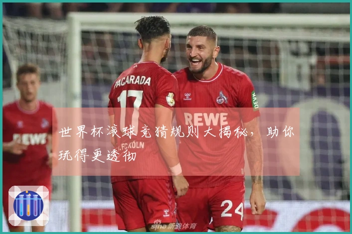 世界杯滚球竞猜规则大揭秘，助你玩得更透彻