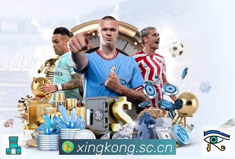 <strong>星空体育app</strong>App 数据看板截图